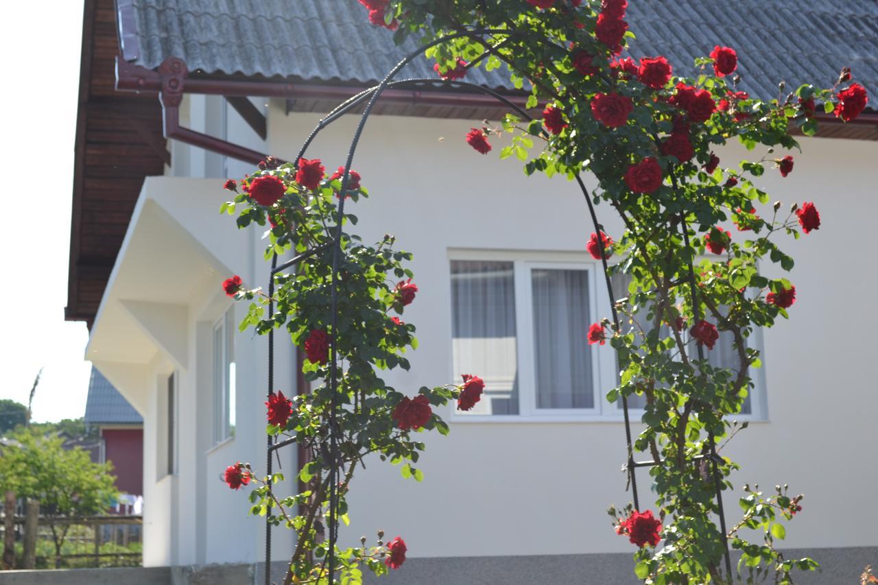 Prundul Birgaului Casa Maria旅馆 外观 照片